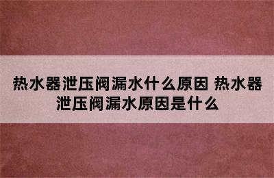 热水器泄压阀漏水什么原因 热水器泄压阀漏水原因是什么